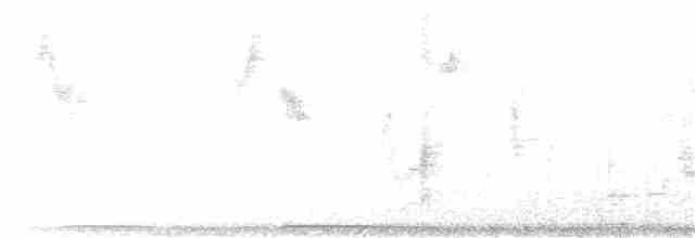 Troglodyte des marais - ML250098401