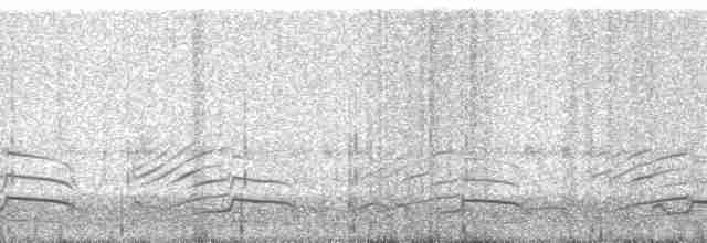 Белая куропатка [группа lagopus] - ML2501