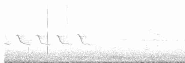 Field Sparrow - ML250101001