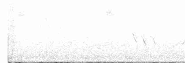 Ивовый мухолов - ML250122761