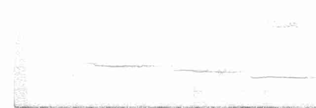hvitstrupespurv - ML250127321