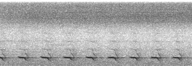 trogon zelenohřbetý - ML250135