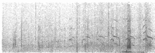 Чайка андійська - ML250152491