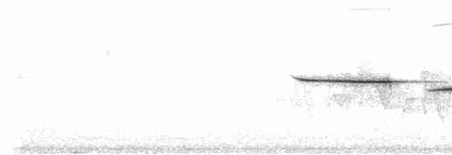 Weißkehlammer - ML250157531