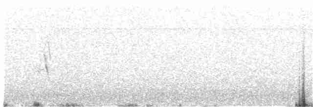 Ластовиця бурочерева - ML250157981
