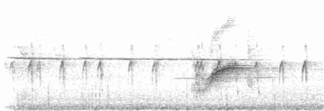 "Шишкар ялиновий (Northeastern, або тип 12)" - ML250158171