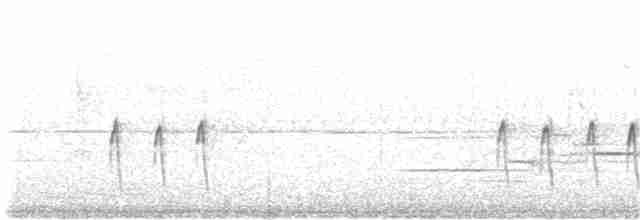 "Шишкар ялиновий (Northeastern, або тип 12)" - ML250158491