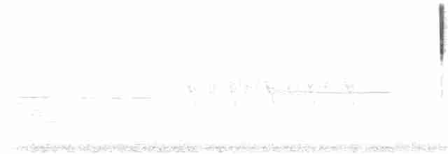 Малая воробьиная овсянка - ML250158561