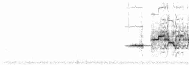 Дрізд-короткодзьоб плямистоволий - ML250159221