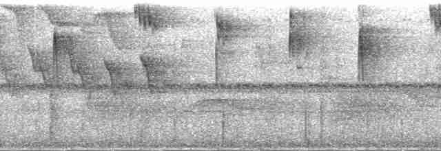 Ерміт рудогрудий - ML250169