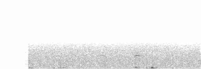 Дрізд-короткодзьоб бурий - ML250171681