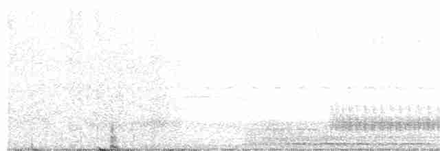 Giant Antshrike - ML250210921