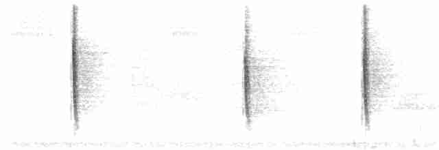 Дроздовый певун - ML250215901