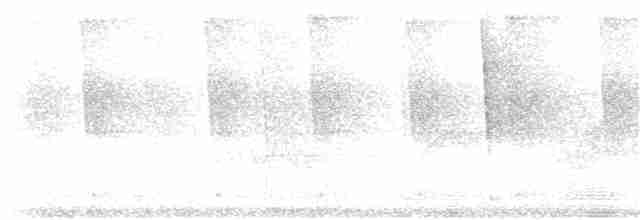 Чернокрылая пиранга - ML250216011