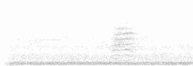 Common Yellowthroat - ML250217031