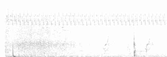 Lanceolated Warbler - ML250236311