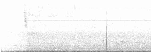 Gray Fantail (alisteri) - ML250250461