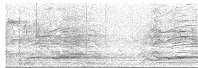 Орлан-рибалка малий - ML250292401