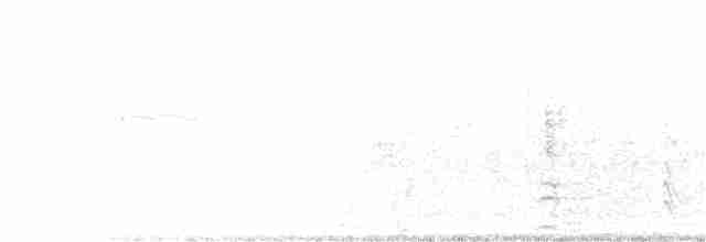 Каліпта рубіновоголова - ML250334861