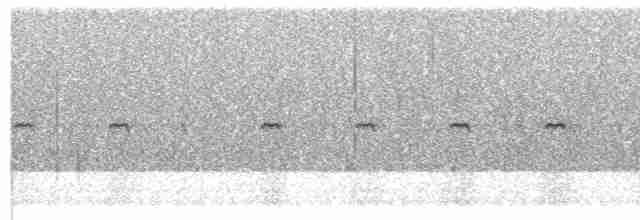 Tinamou carapé - ML250336811