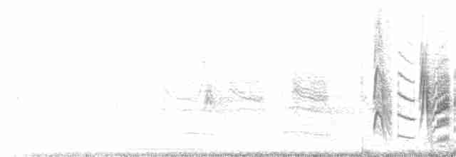 Віреон короткокрилий (підвид pusillus) - ML250339961