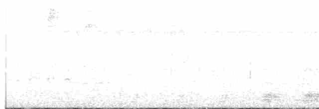 Арауканская чачалака - ML250384001