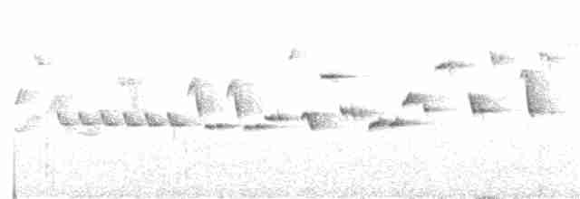 Chochín Hiemal - ML250393111