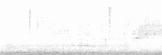 svarthodetykknebb - ML250406381