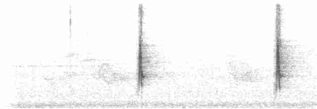 Kara Kanatlı Piranga - ML250413401