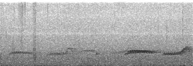 Dusky Nightjar - ML250413671
