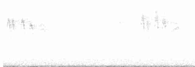 Kestane Sırtlı Baştankara - ML250416021
