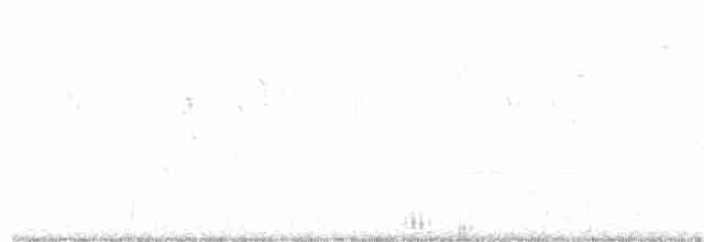 Разноголосый дрозд - ML250416431