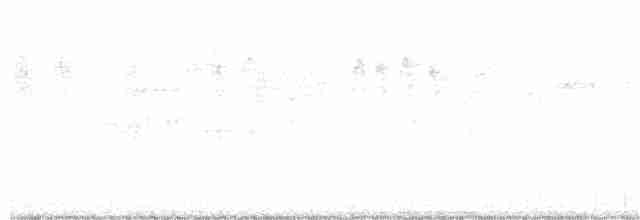 holub pruhoocasý - ML250416731