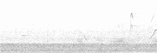 Серогрудый питуи - ML250426951