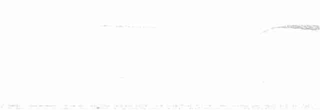 Пересмішник сірий - ML250428761