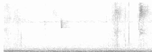 Flavescent Warbler - ML250431871