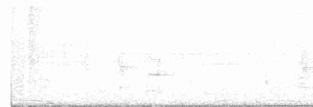 White-eyed Foliage-gleaner - ML250433381
