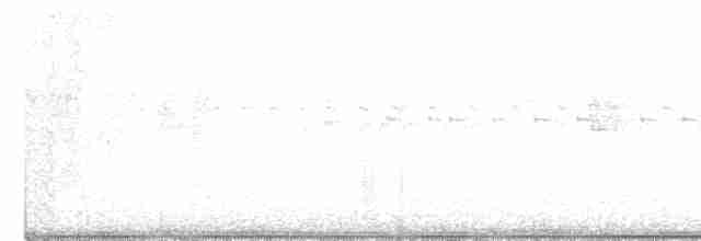 White-throated Spadebill - ML250433571