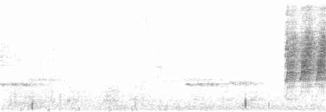 Eufonia Ventricastaña - ML250452631