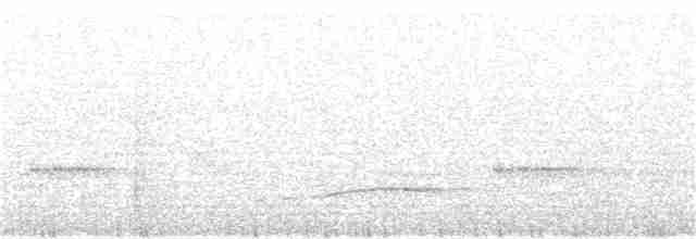 Орел-чубань чорний - ML250452741