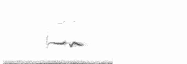 White-tailed Iora - ML250482891