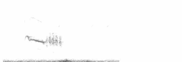White-tailed Iora - ML250482911