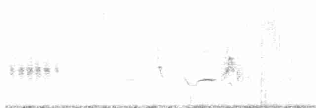 White-tailed Iora - ML250482921