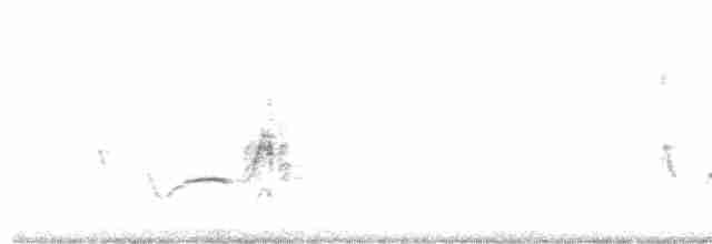 White-tailed Iora - ML250482931