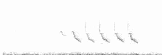 White-tailed Iora - ML250482941