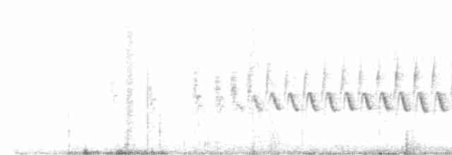 White-tailed Iora - ML250482961