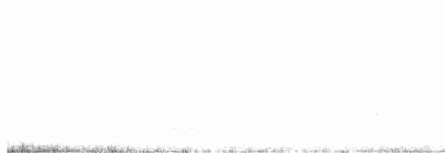 White-tailed Iora - ML250482971