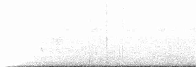 Black-collared Starling - ML250493791