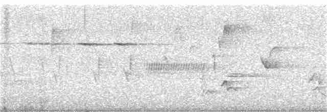drozdec černohlavý - ML250523921