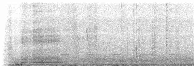 Common Gallinule - ML250588381